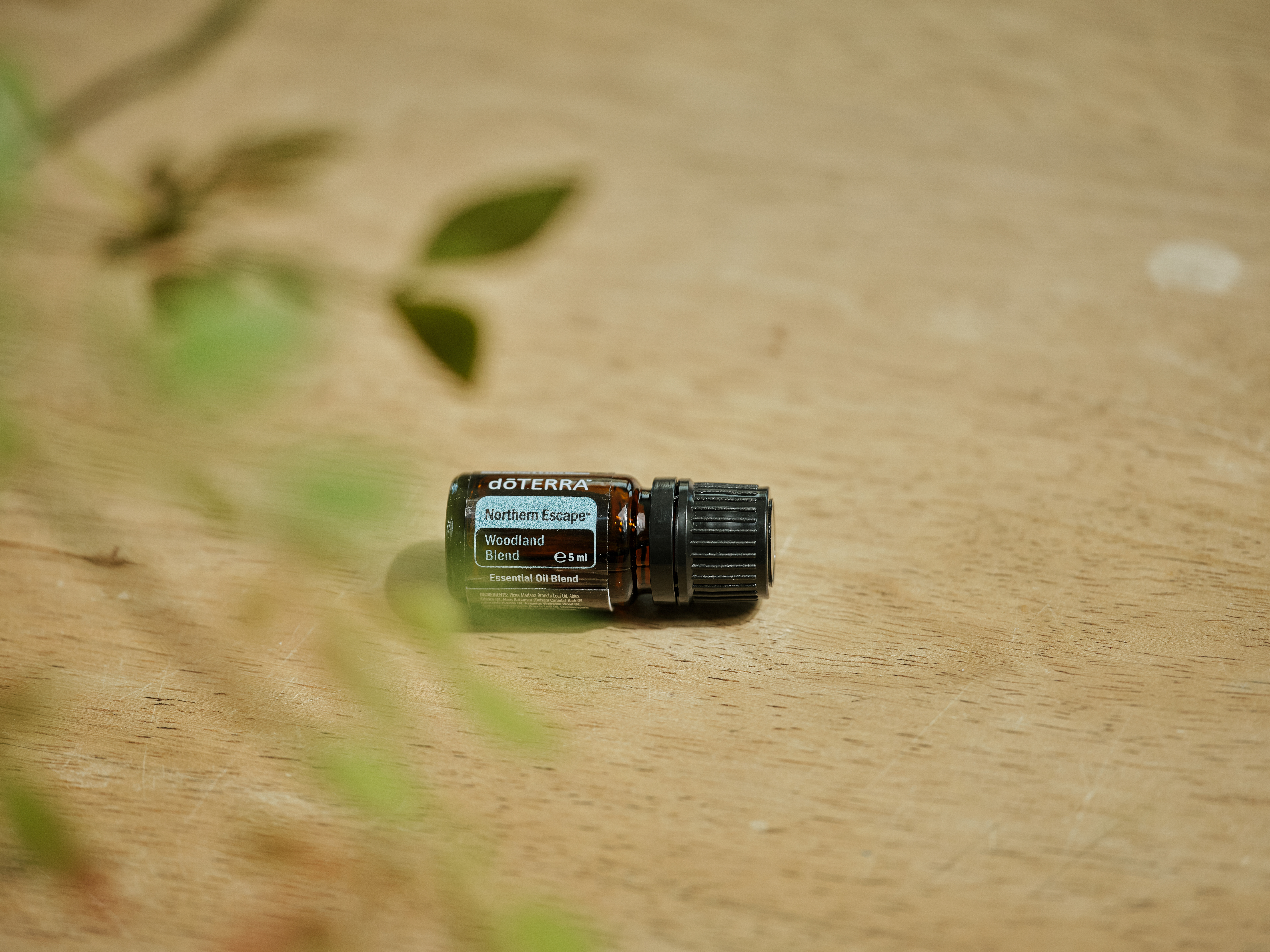 Produkt miesiąca doTerra – wrzesień 2025